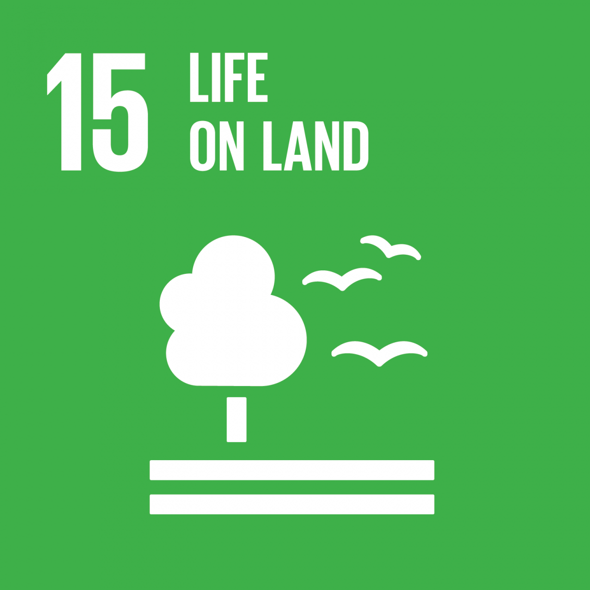 15. SDG: Leben an Land