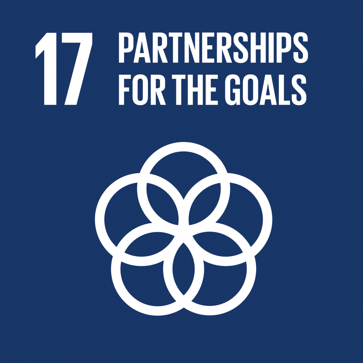 17. SDG: Partnerschaften zur Erreichung dieser Ziele