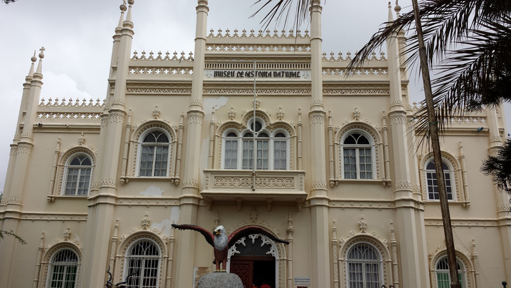 Das Naturkundemuseum in Maputo